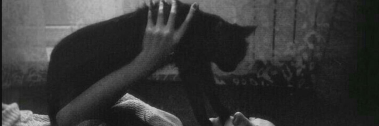 Jrrr_q's profile banner image