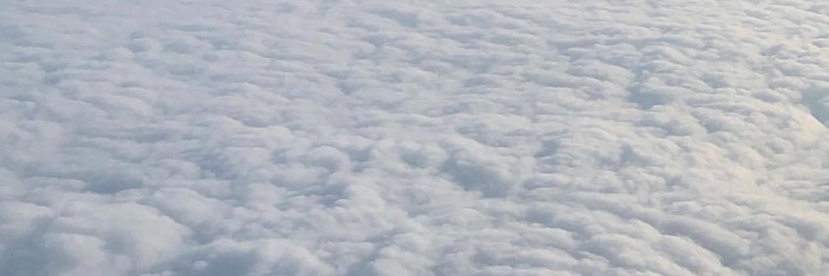 _odlm's profile banner image