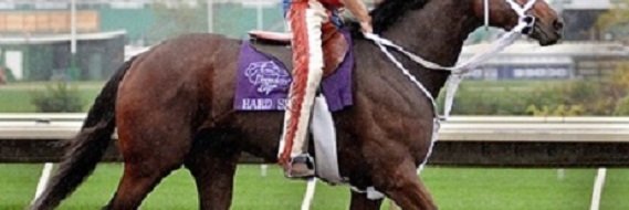 James Madison banner