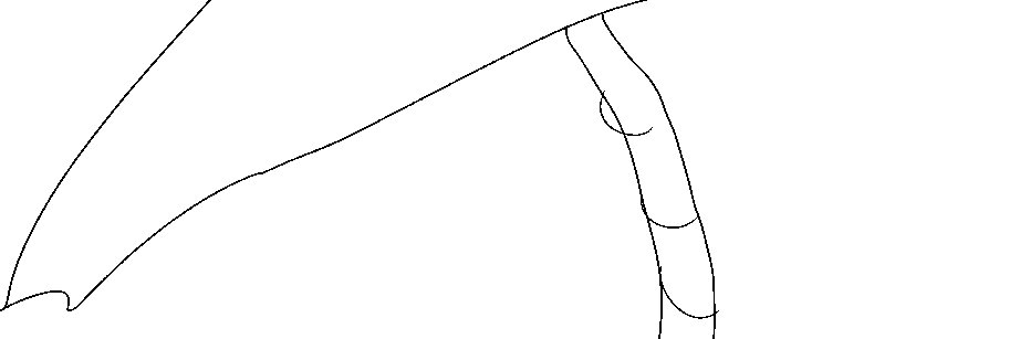 margot ferrick's banner