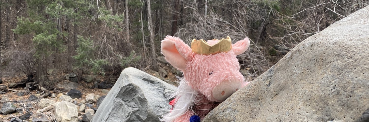 VoidPig7's profile banner image