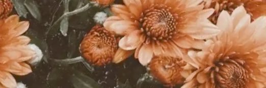 Emily_9220's profile banner image