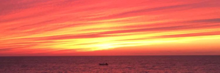 DougLatts's profile banner image