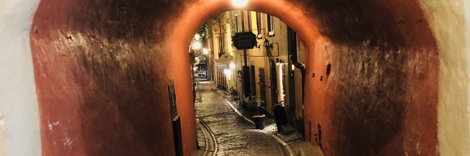 Guillaume Princen banner