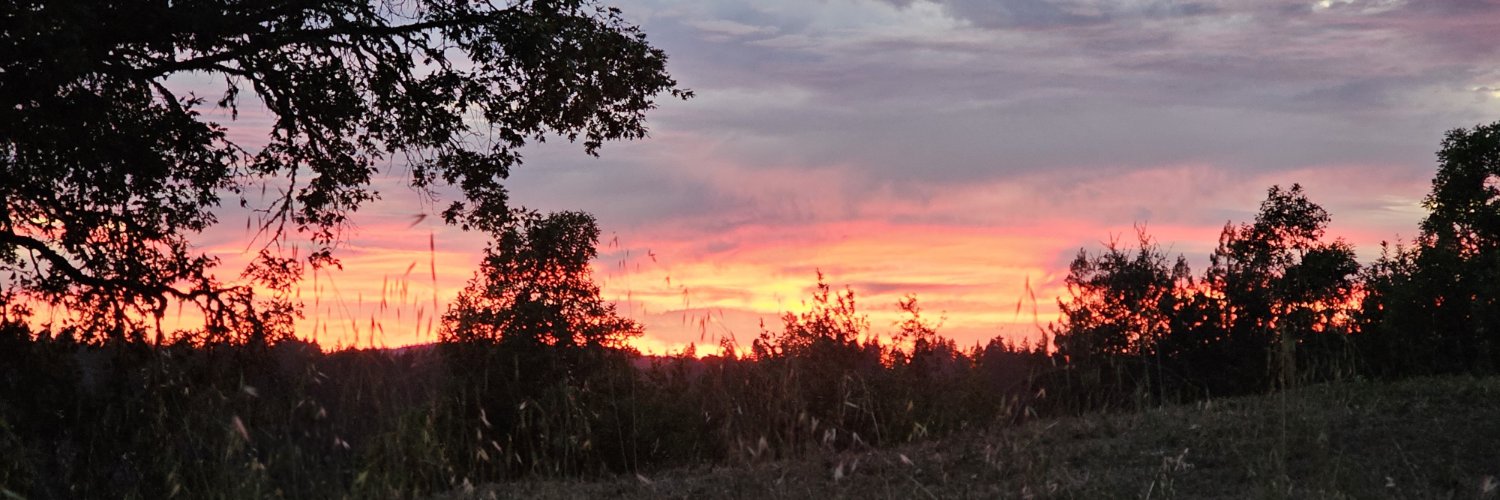 SuneeSky1's profile banner image