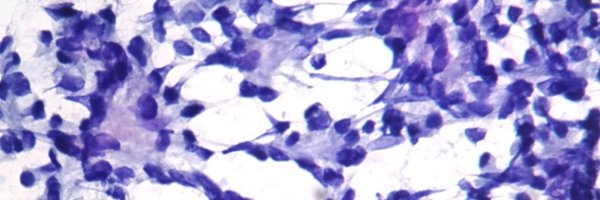 NafeesaPath Profile Banner