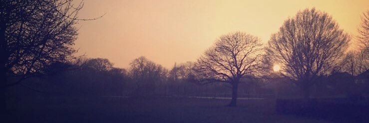 meg___joyce's profile banner image