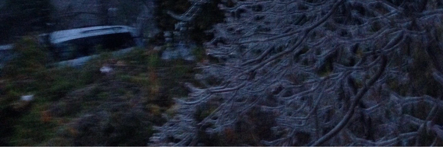 ZevSP's profile banner image