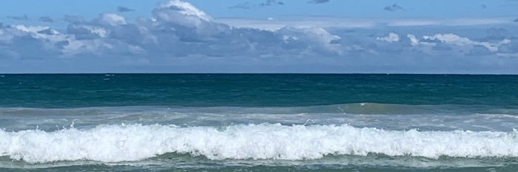 CocadaLaura's profile banner image