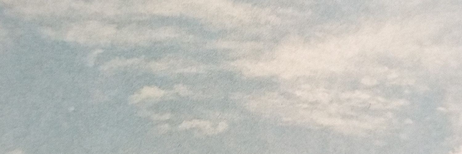 melonsconeski's profile banner image