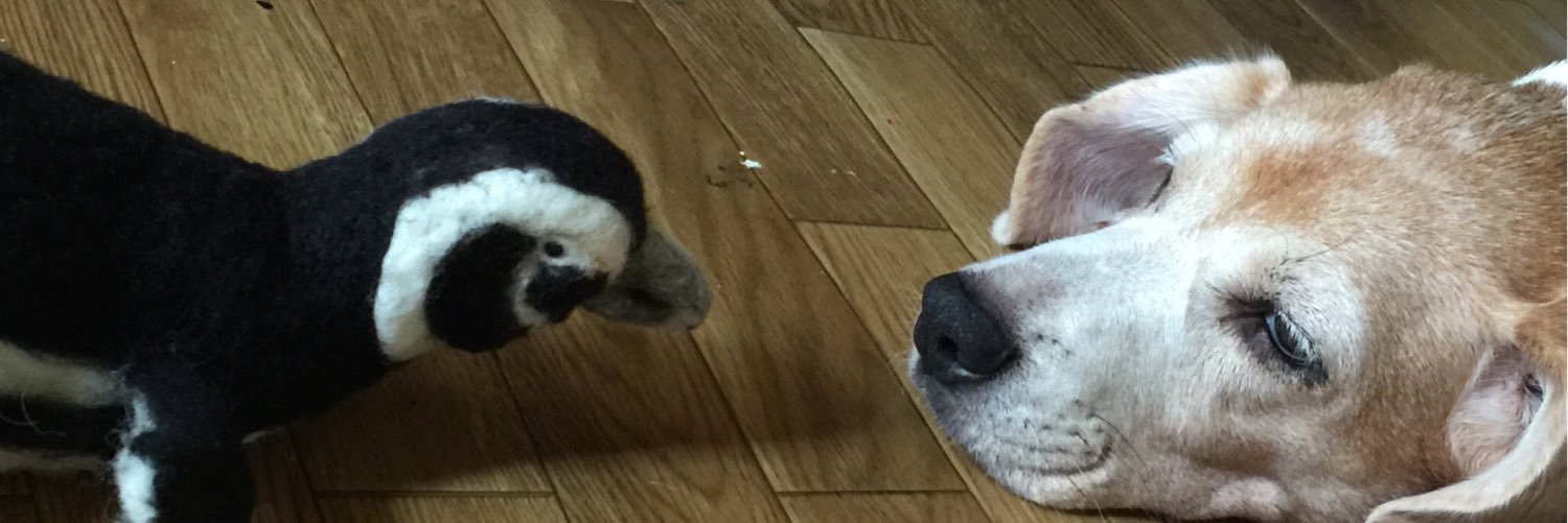 choco35941's profile banner image