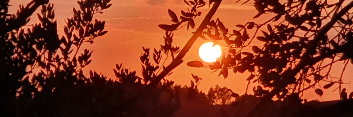 Javier Bahón banner