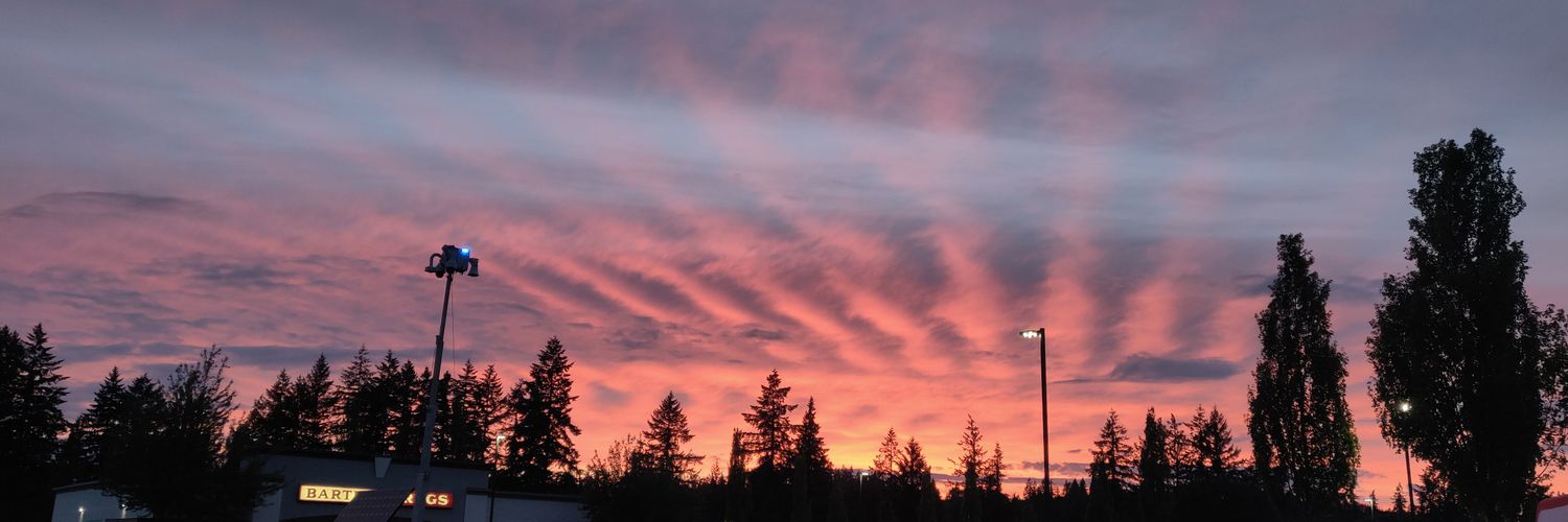 Holly Yanberra banner