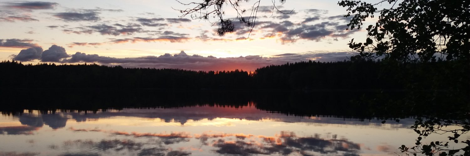 JannaViis's profile banner image