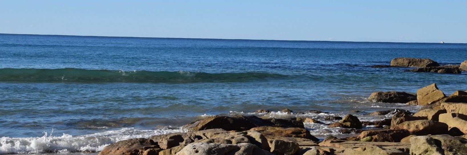 Melanie C. Green banner