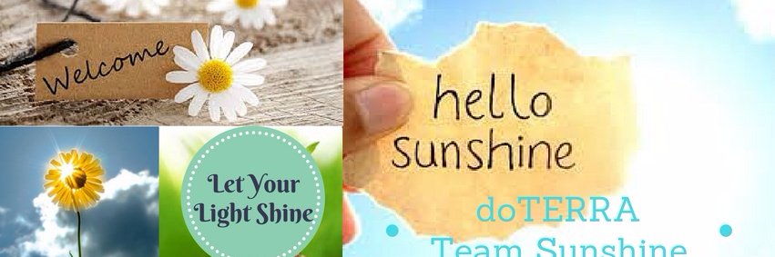 SunshineEOils's profile banner image