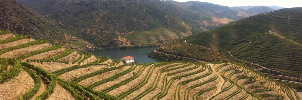 quevedo Profile Banner