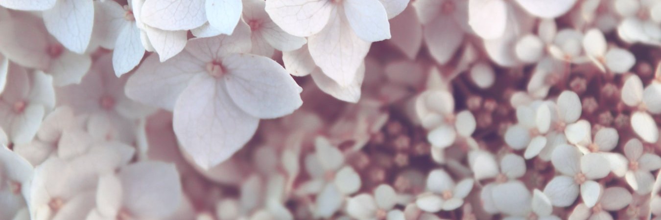 GrayKaith's profile banner image