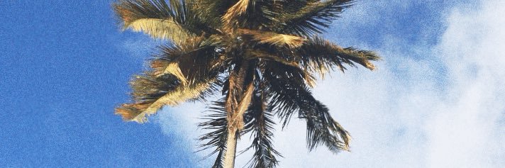 Canser banner