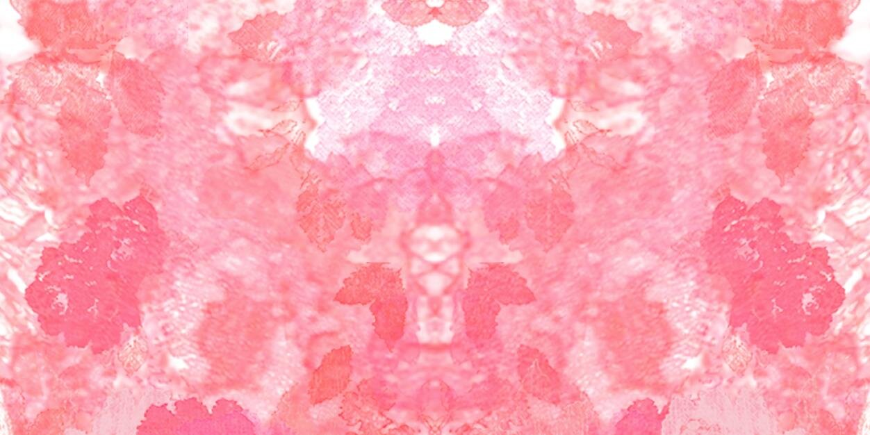 Sarah Van Aken banner