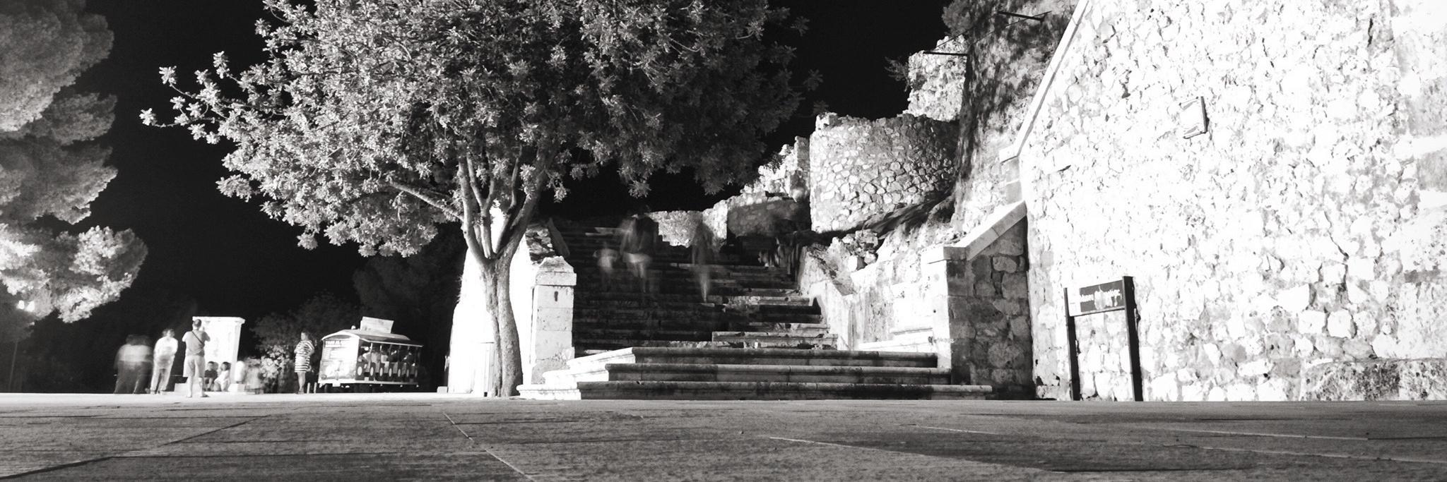aillana's profile banner image