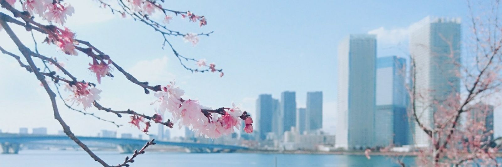 hj013a's profile banner image