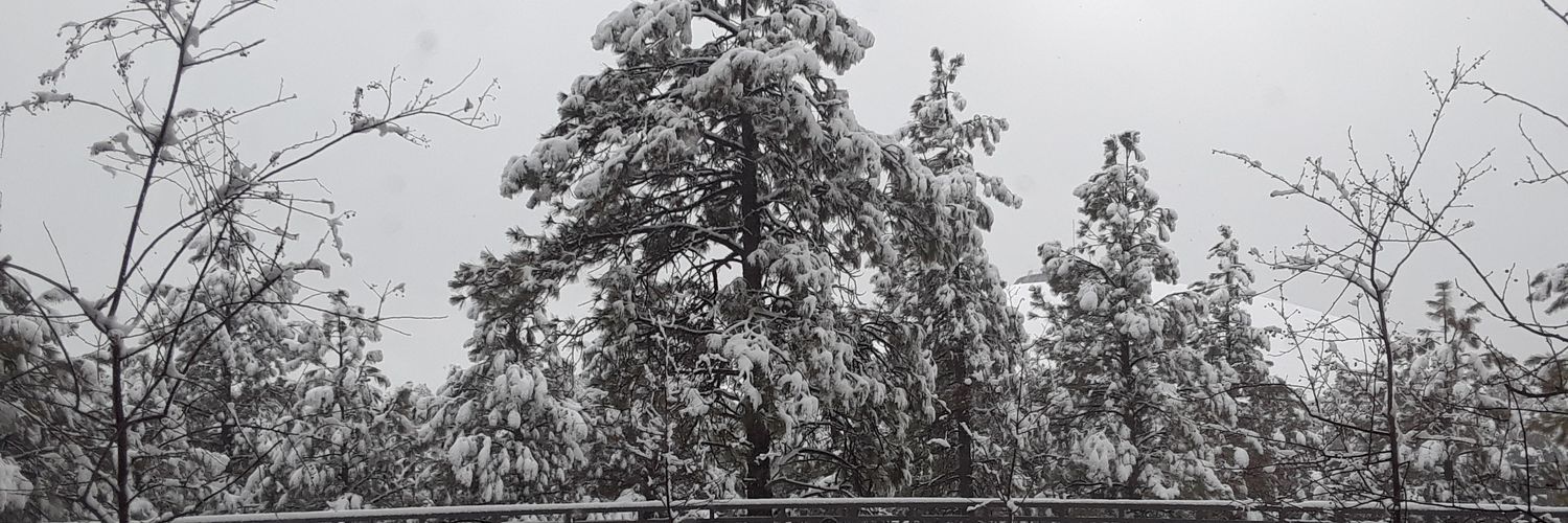 lex_cretian's profile banner image