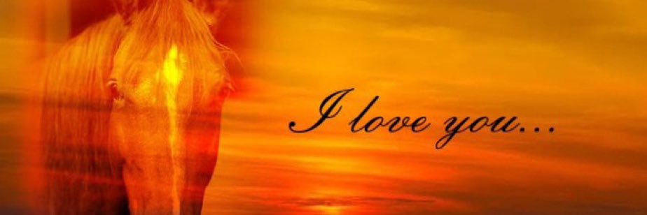 뚜롤3세 (진짜세살) banner