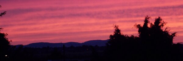 jaynegoodrick Profile Banner