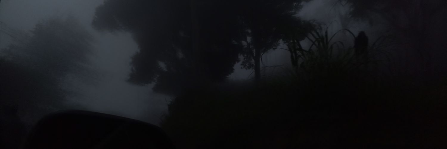 _guaricha's profile banner image