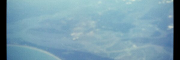 Dolpho55 Profile Banner