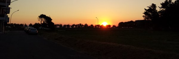 Duzzosfrenick Profile Banner