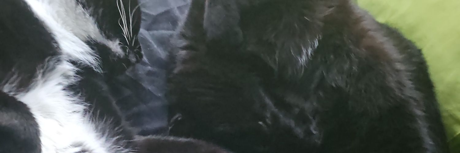 jonileah85's profile banner image