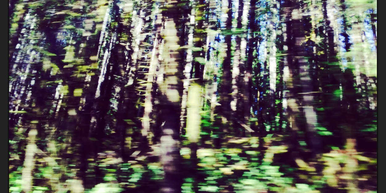jenpsoares's profile banner image