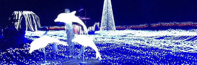 Ria_Positive's profile banner image