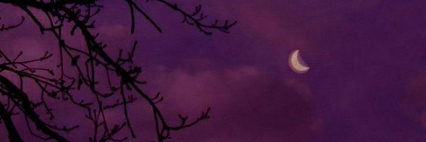 zsaamu Profile Banner