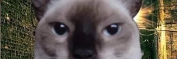 AlexTL924 Profile Banner