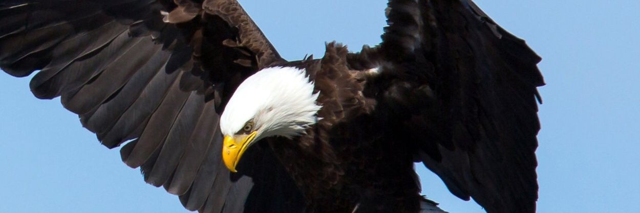 benzhogs's profile banner image