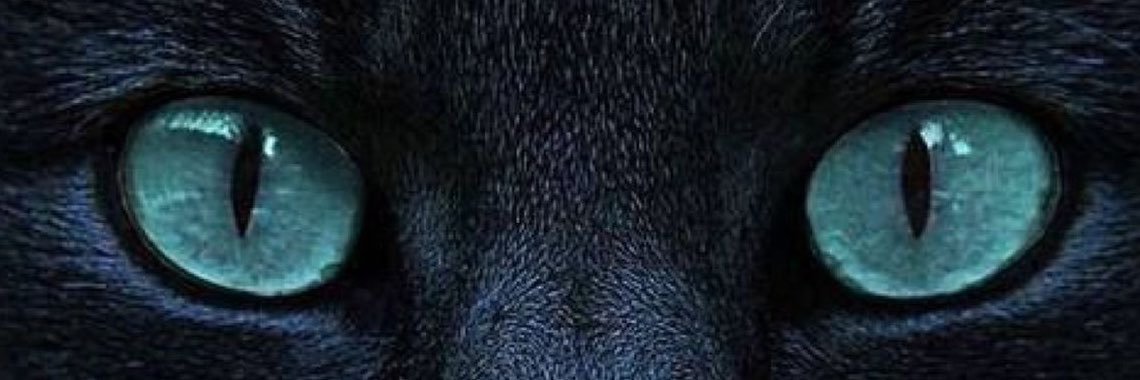 Jdox_'s profile banner image
