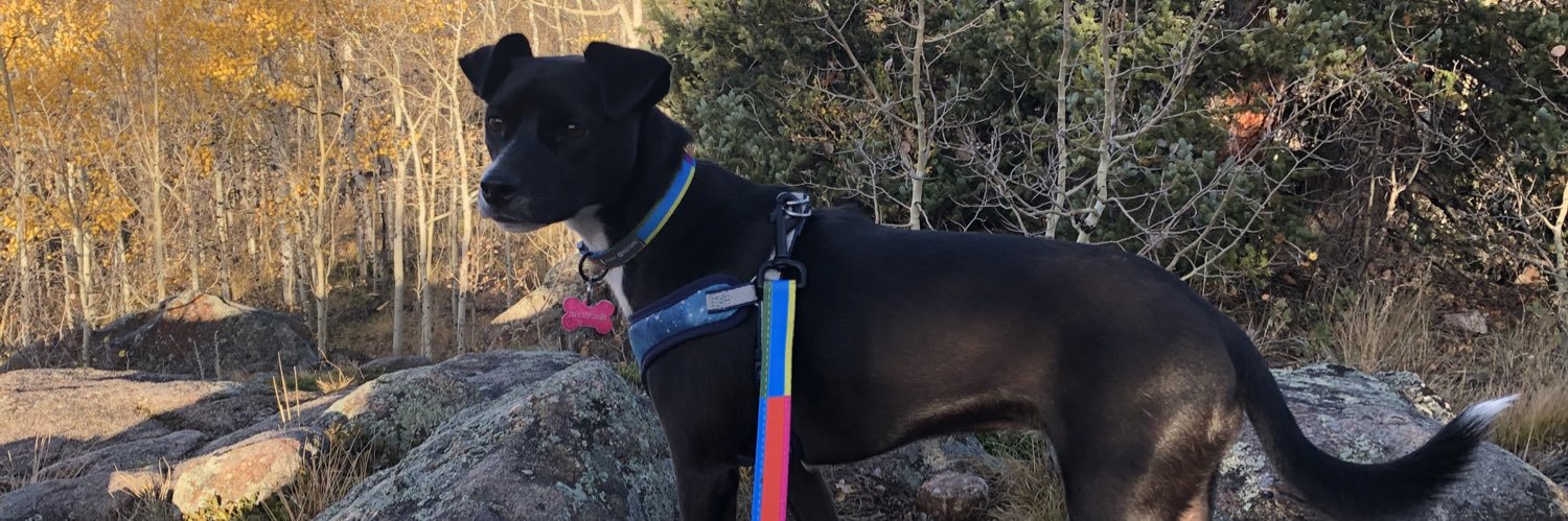 Remi_Zoolander's profile banner image