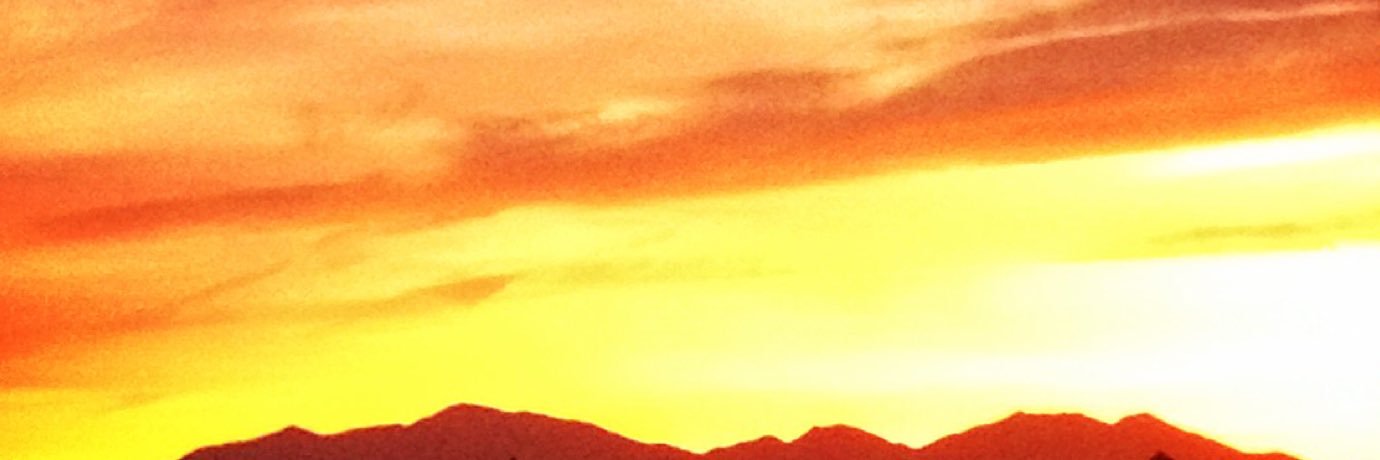 steidl's profile banner image