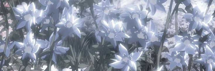 enrvelops's profile banner image