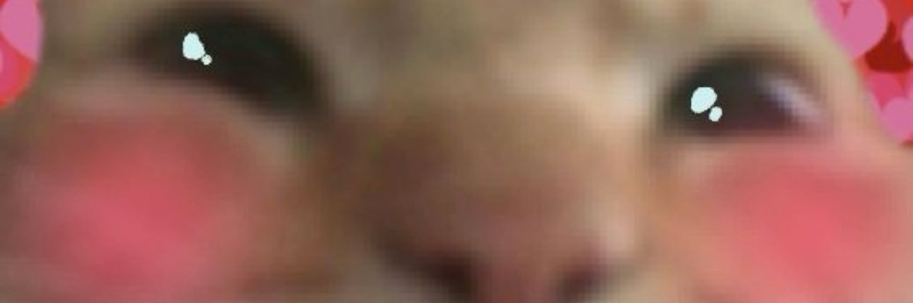 ZellyVibes's profile banner image