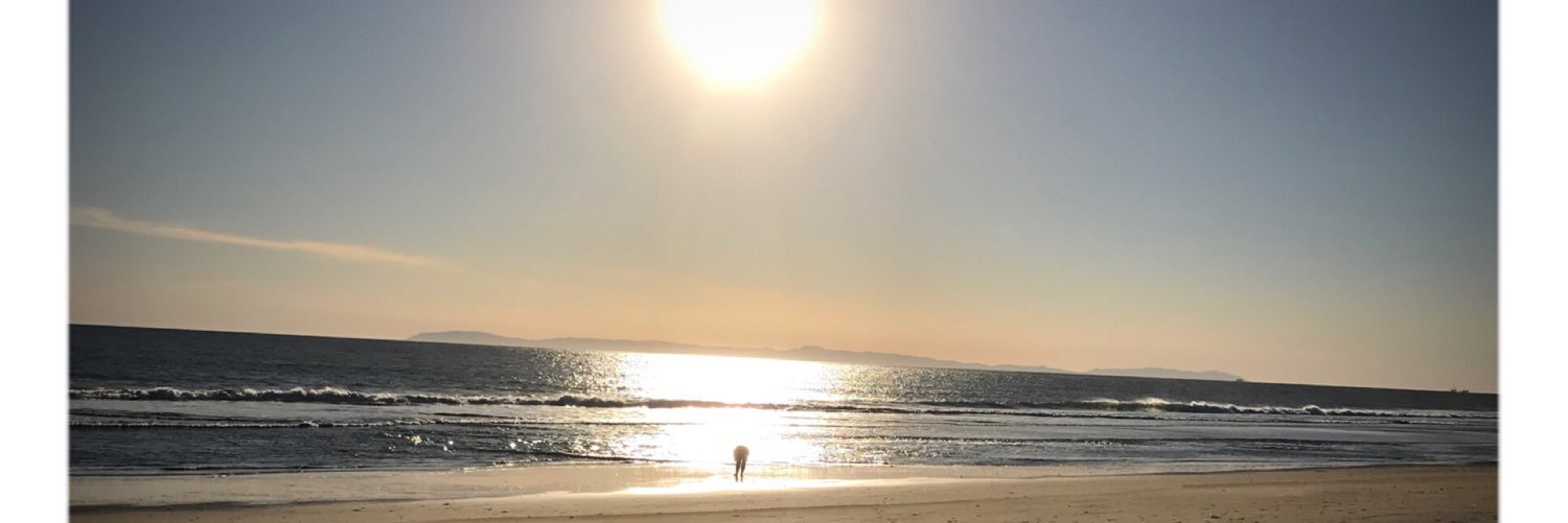 bescounsel's profile banner image
