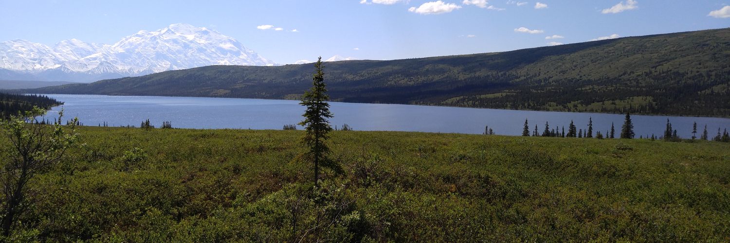 Nolan Patterson banner