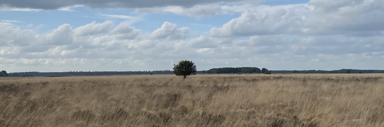 Atikarda's profile banner image