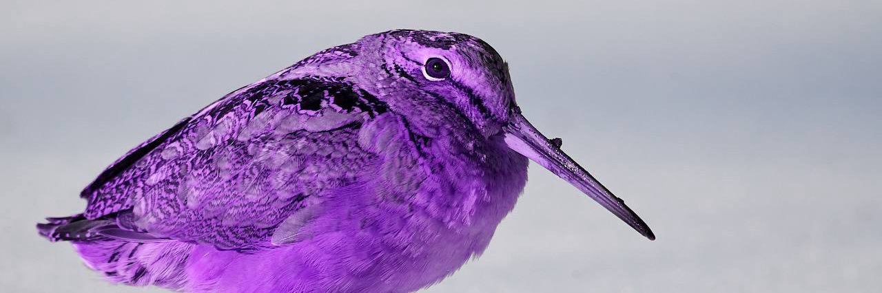 . Mell (hiatus) banner