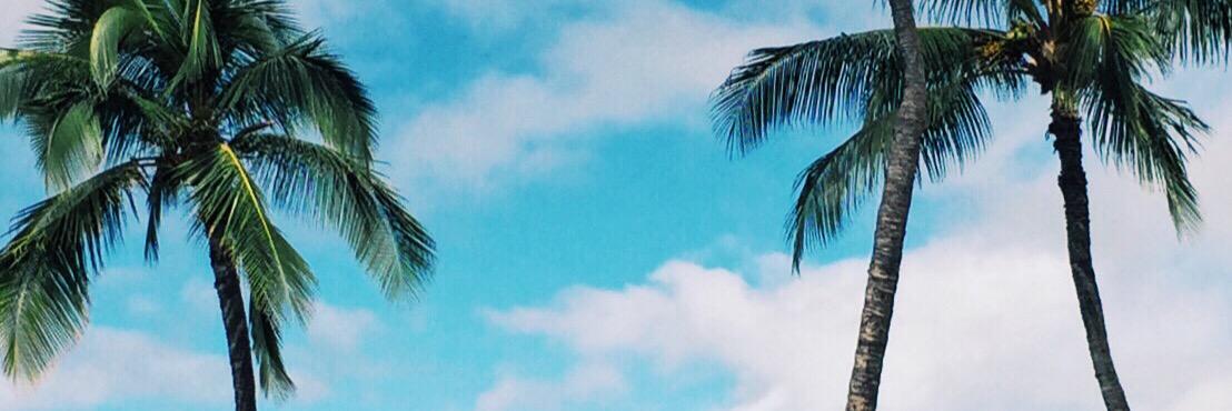 sarahxrobin's profile banner image
