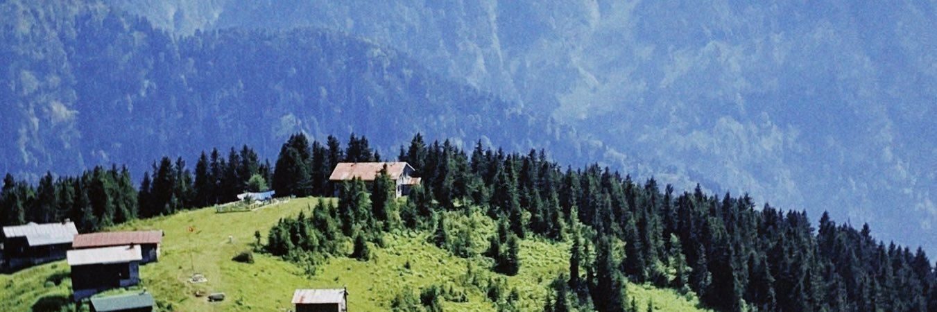 tri_ahmet's profile banner image