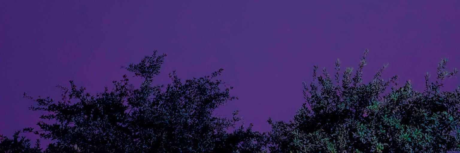 _L5555_'s profile banner image